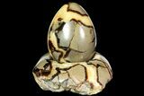 Polished Septarian Egg with Base - Madagascar #118133-2